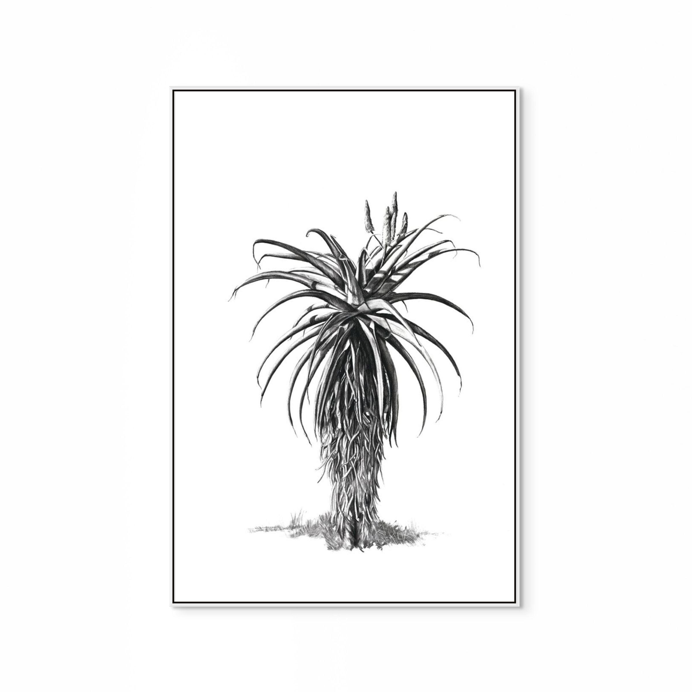 Aloe III Print