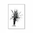 Aloe IV Print