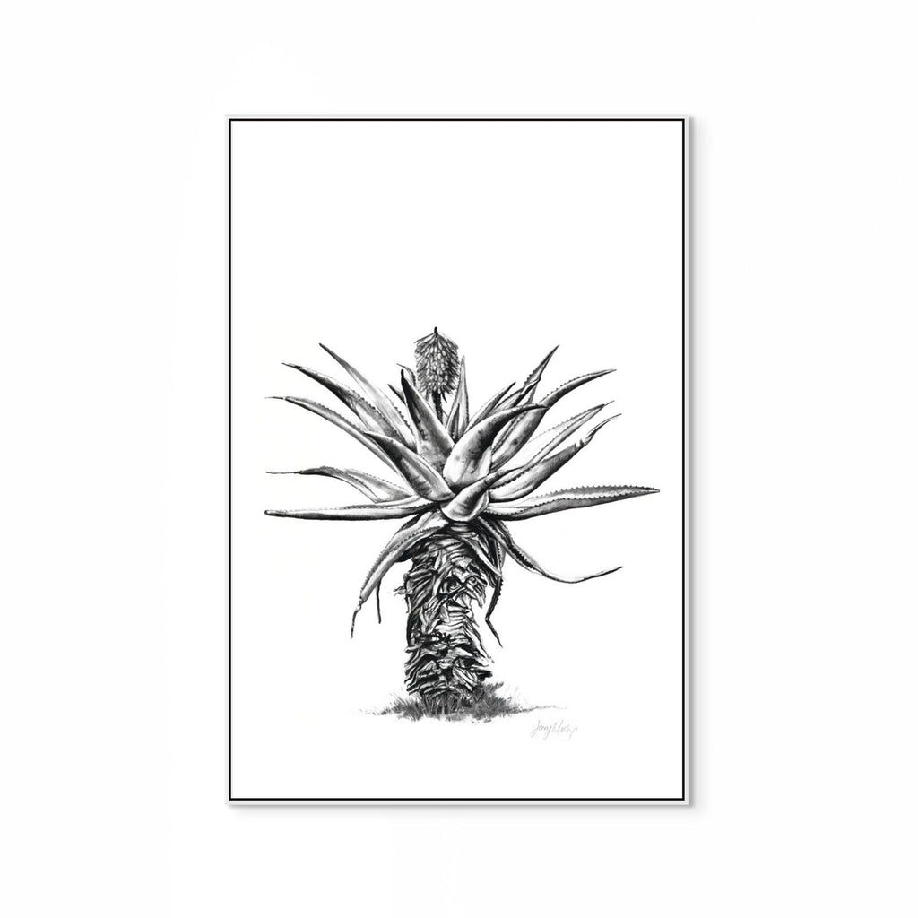 Aloe V Print