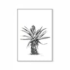 Aloe V Print