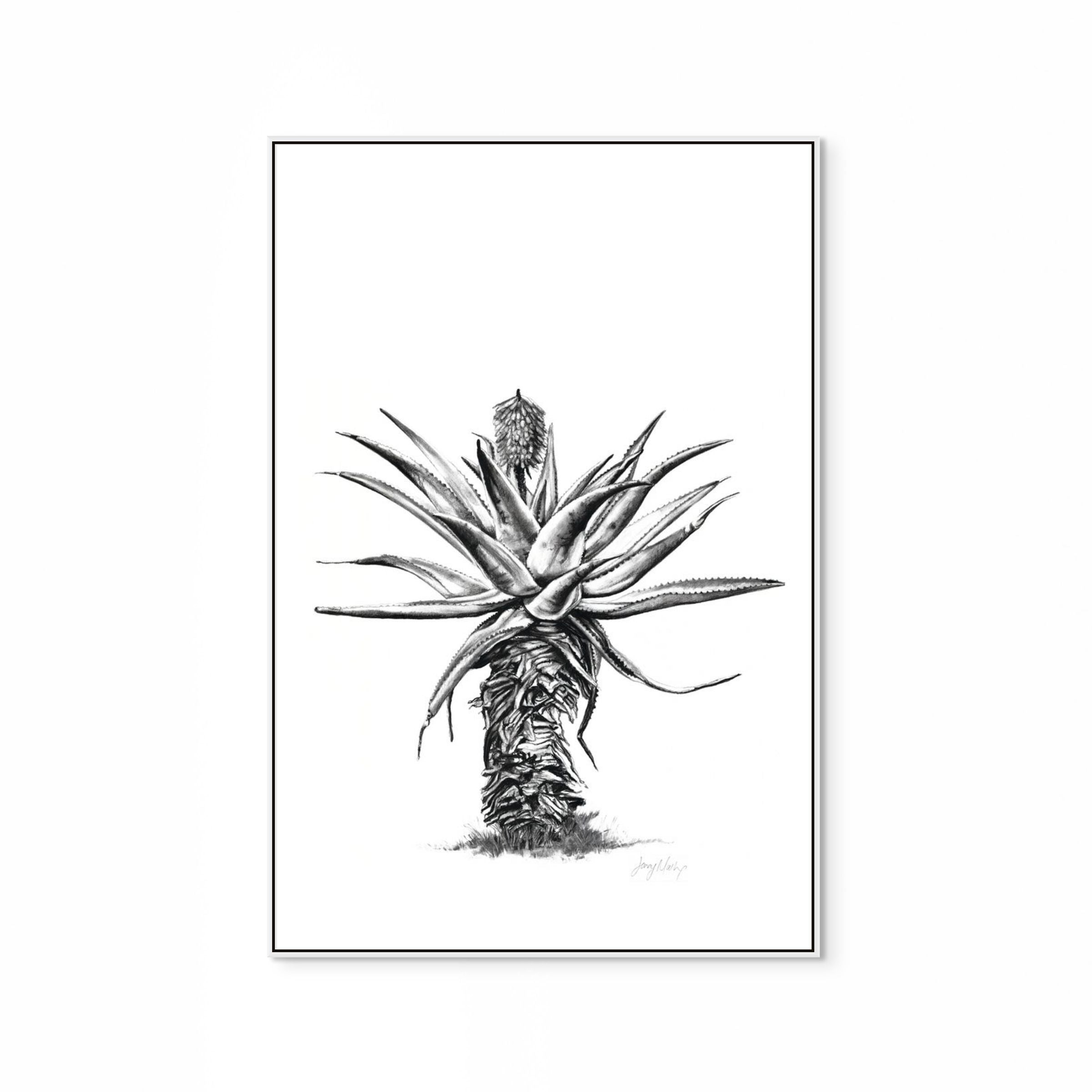 Aloe V Print