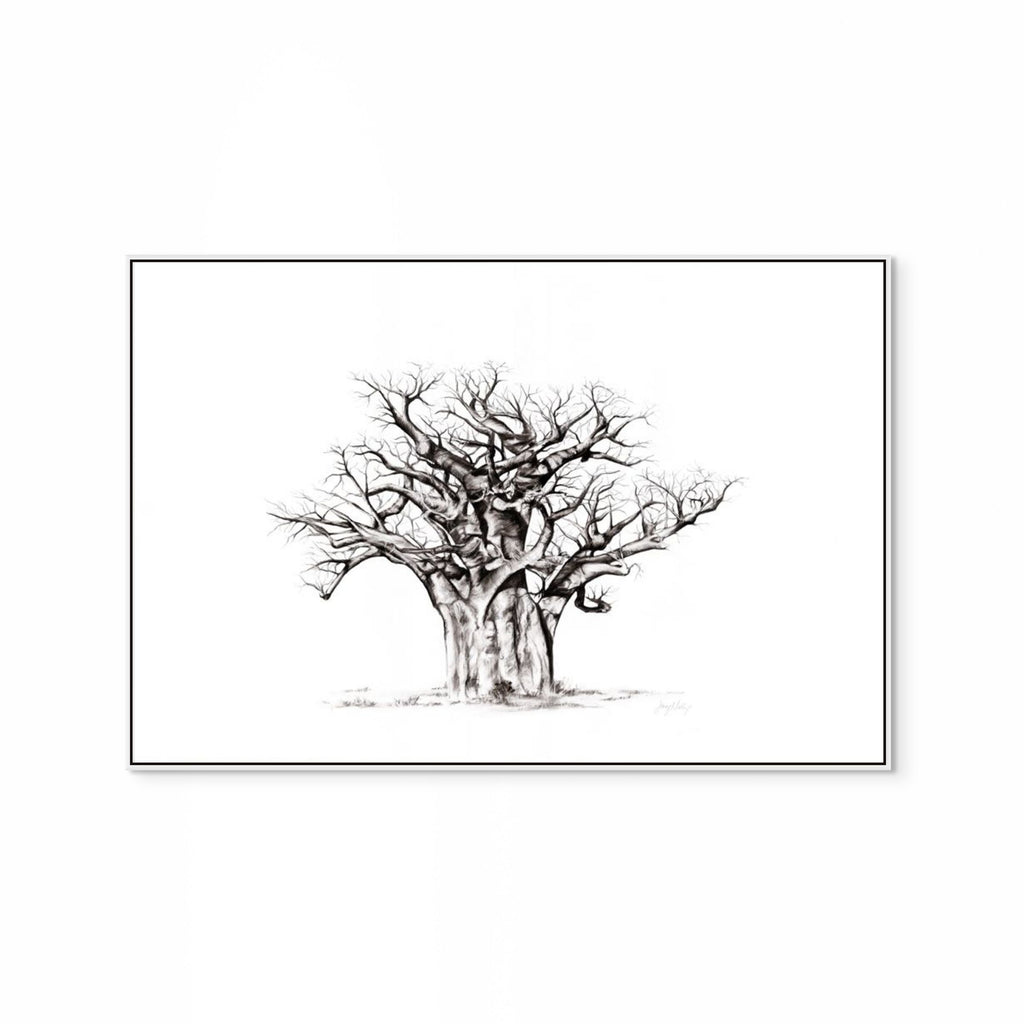 Baobab I Print