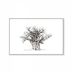 Baobab I Print