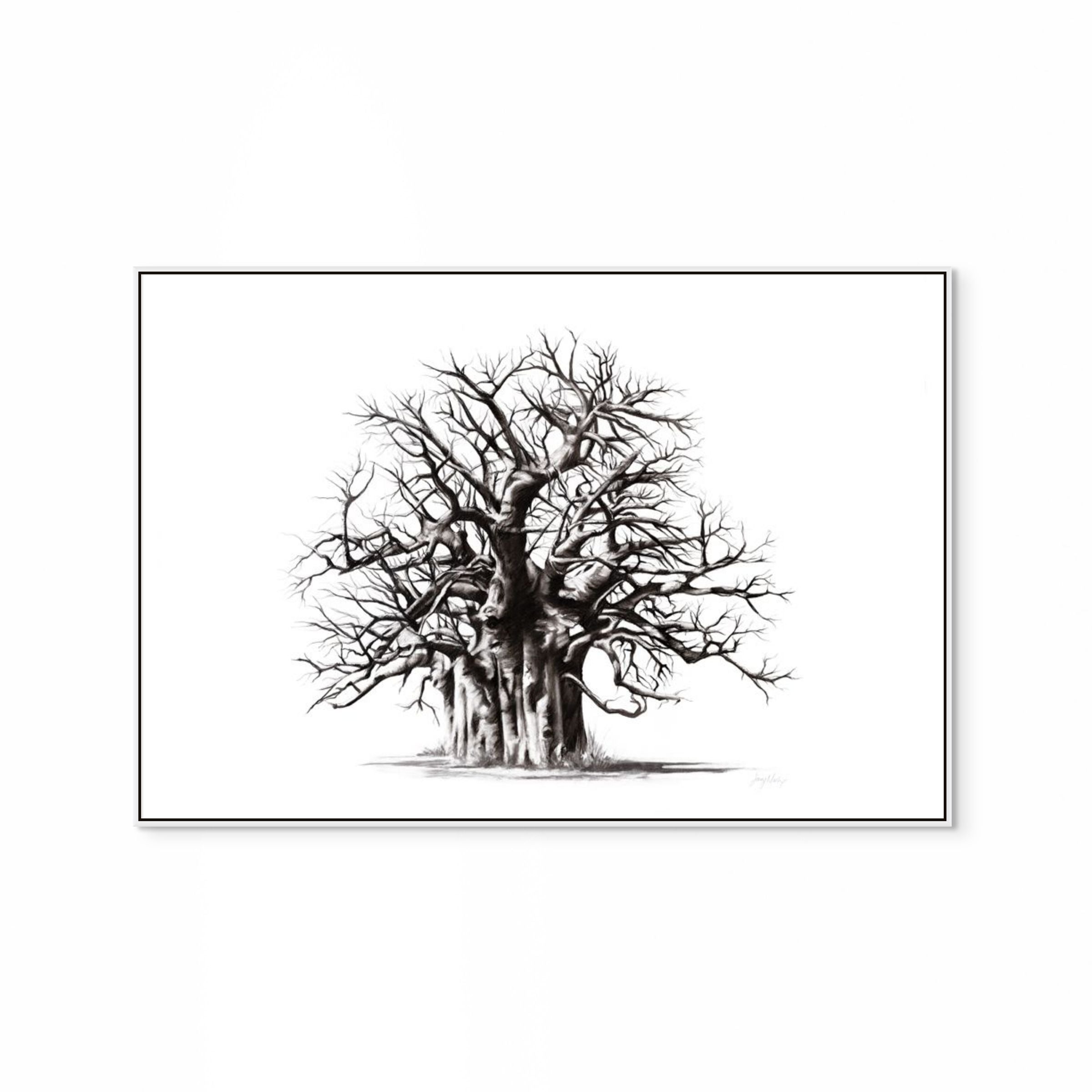 Baobab II Print