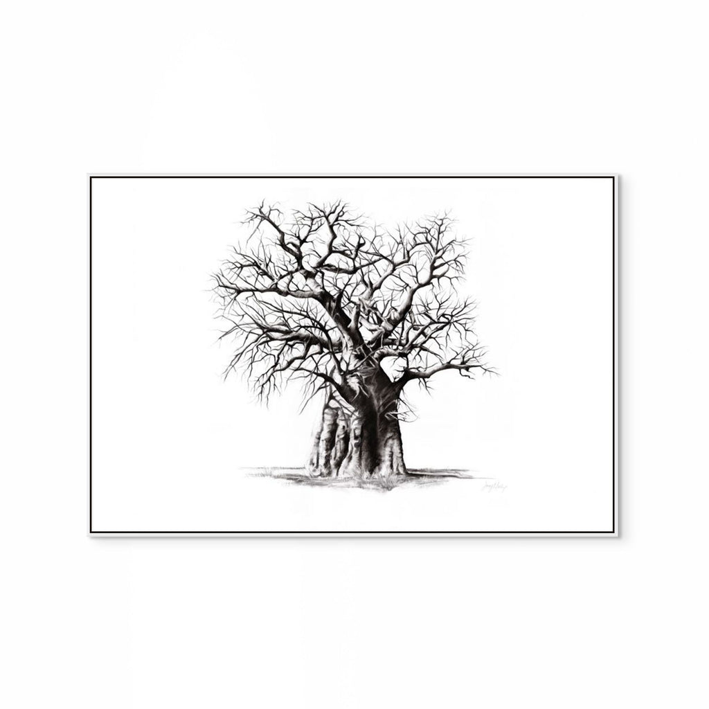 Baobab III Print