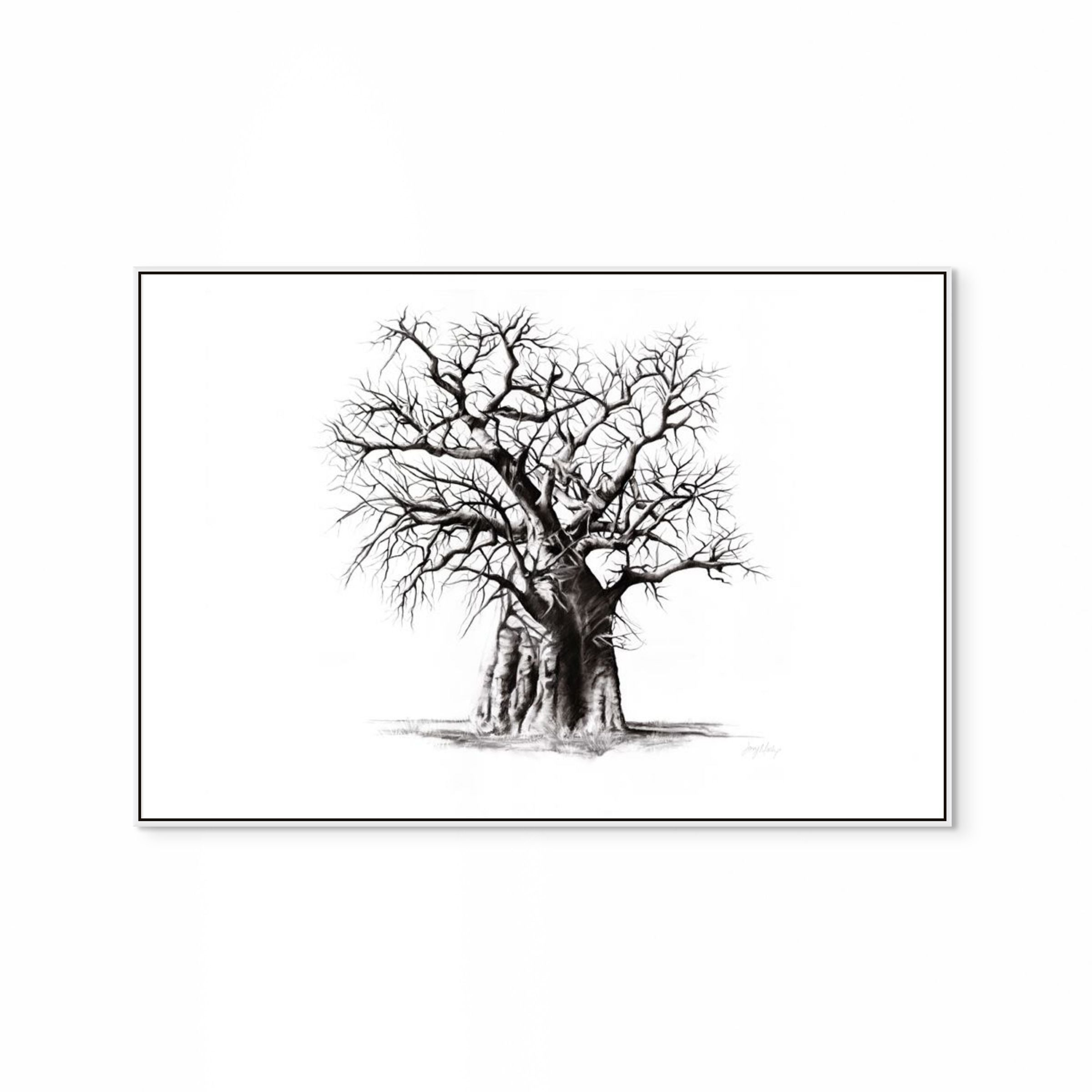 Baobab III Print