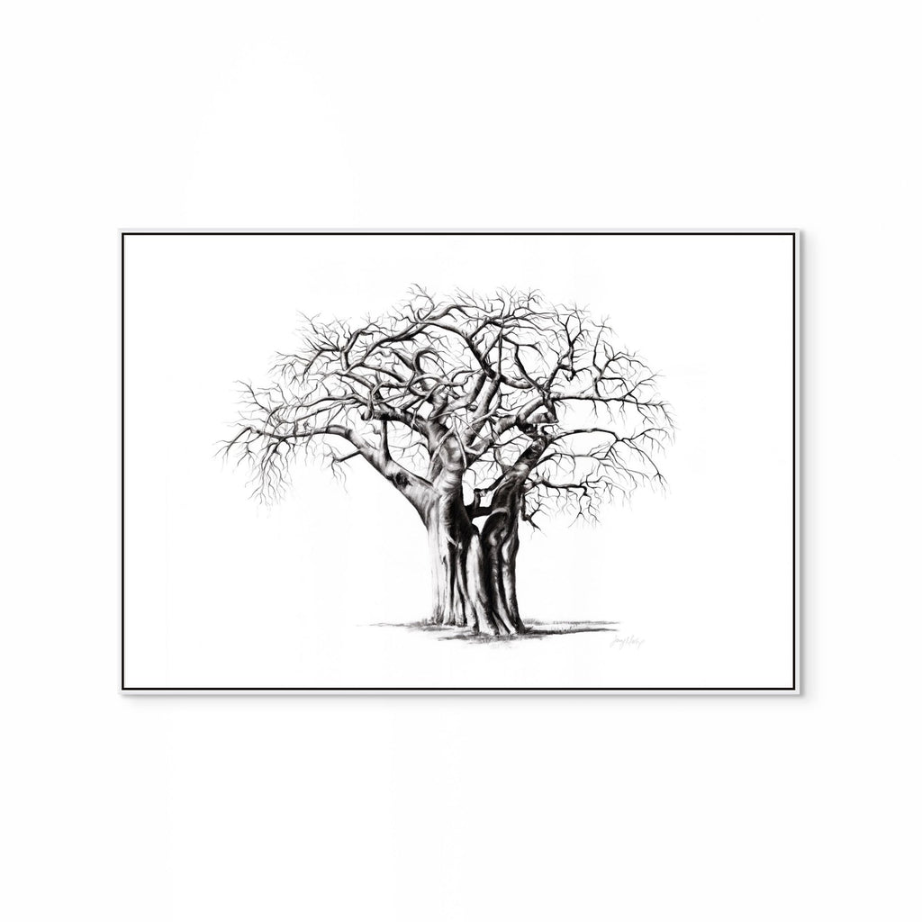 Baobab IV Print
