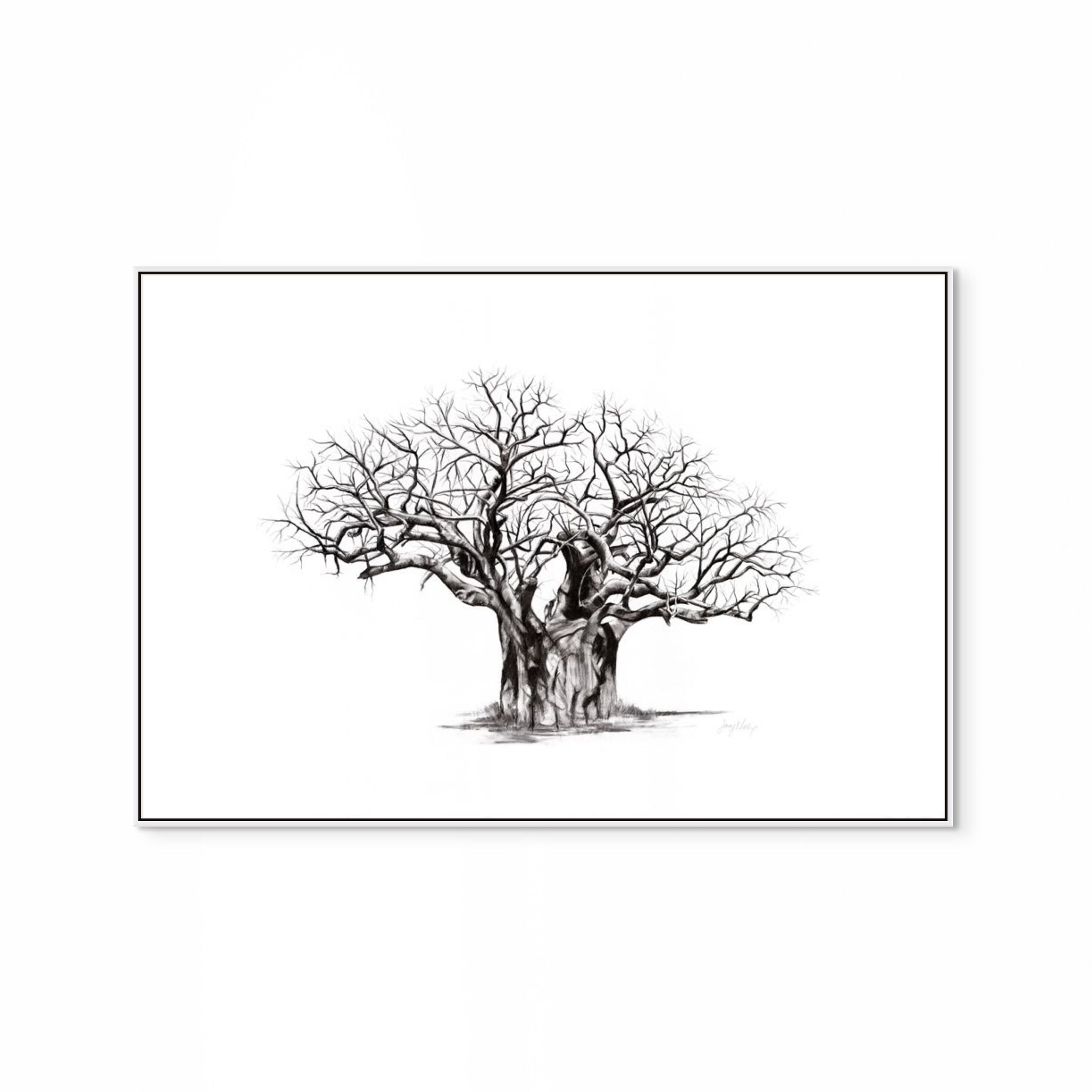Baobab V Print