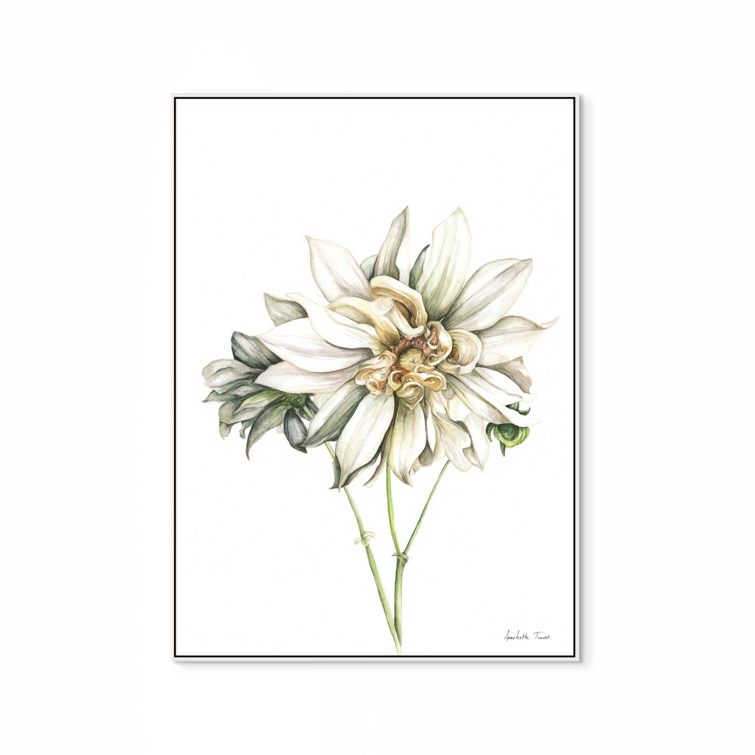 Cafe au Lait Dahlia Print