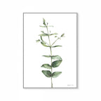Eucalyptus Print