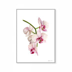 Flower Print
