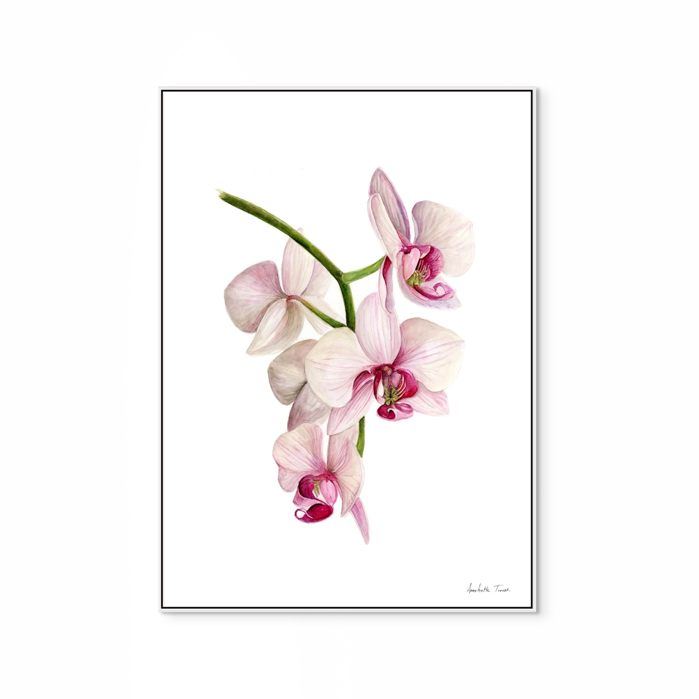 Flower Print