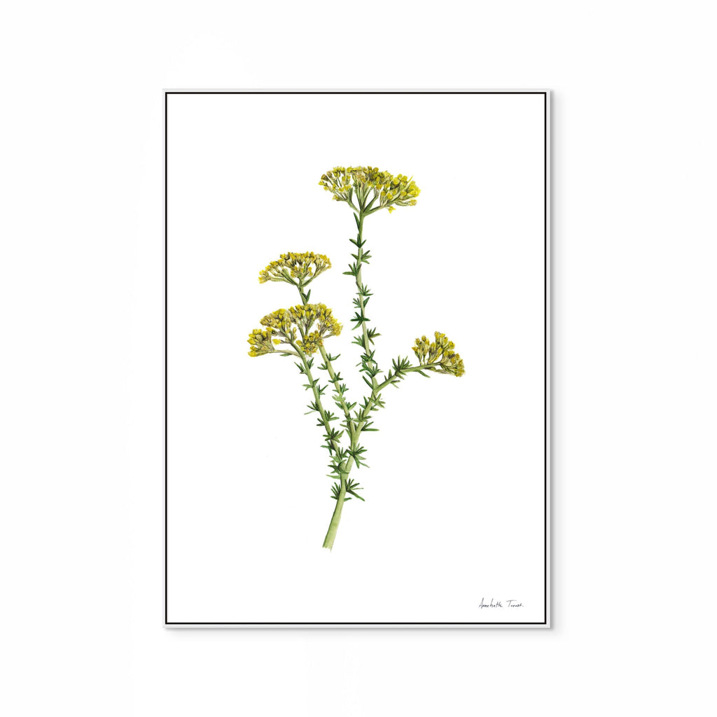 Golden Metalasia Print