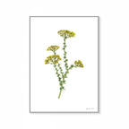 Golden Metalasia Print