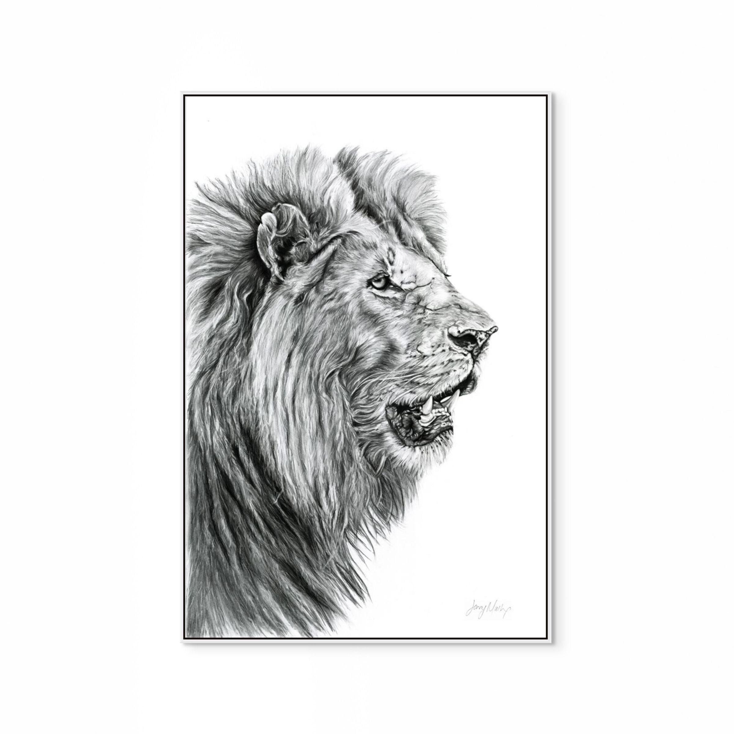 Lion Print