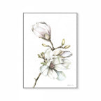 Magnolia Print