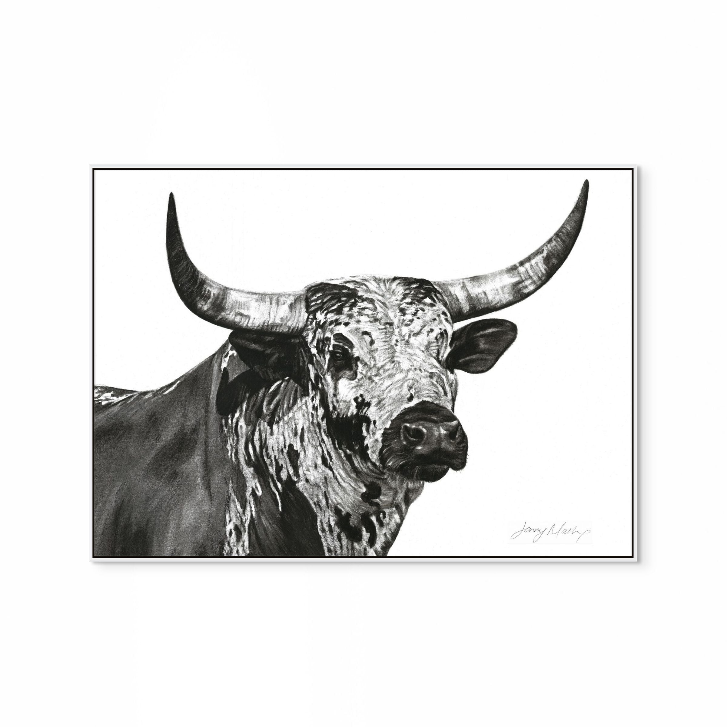 Nguni Bull Head (Landscape) Print