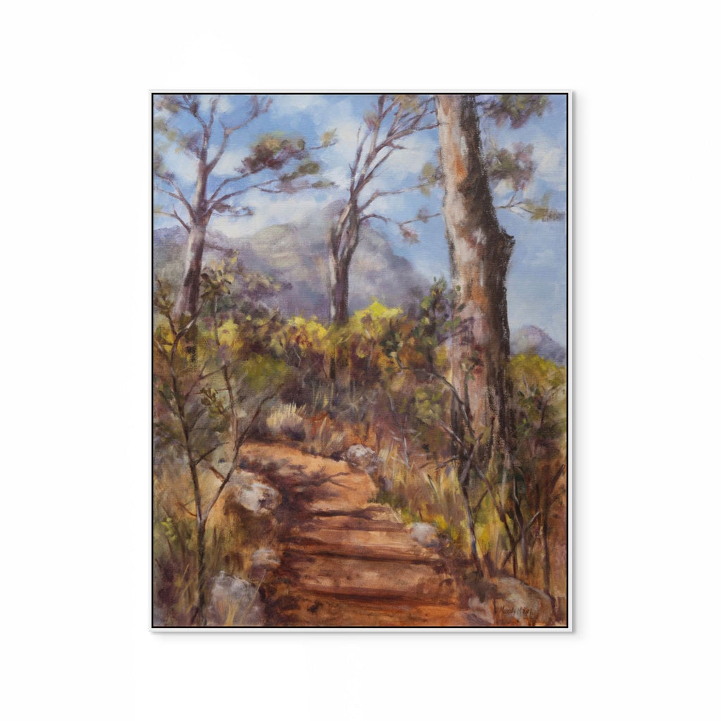 Old Stone Path & Pines In Kirstenbosch Print
