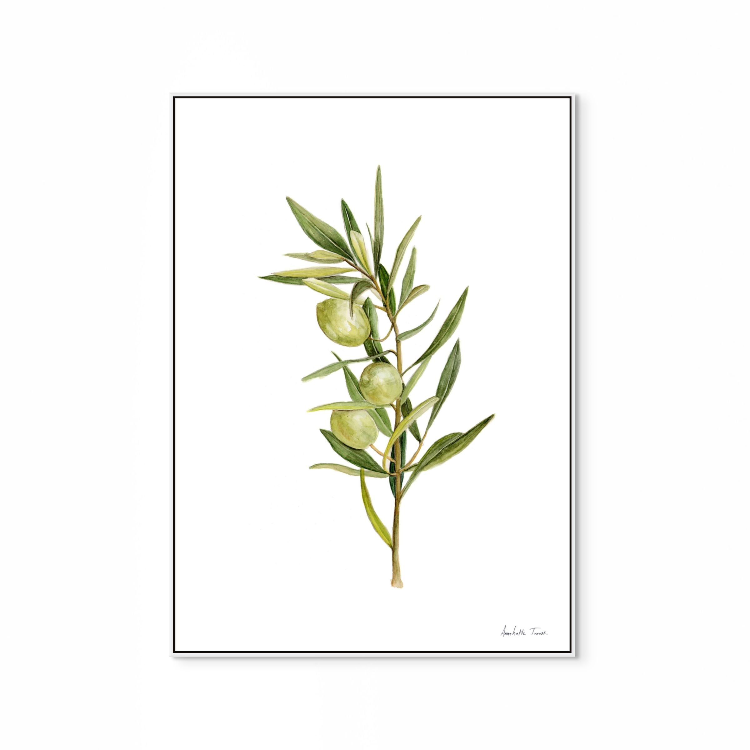 Olive Print