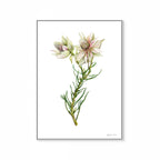 Surruria Florida Print