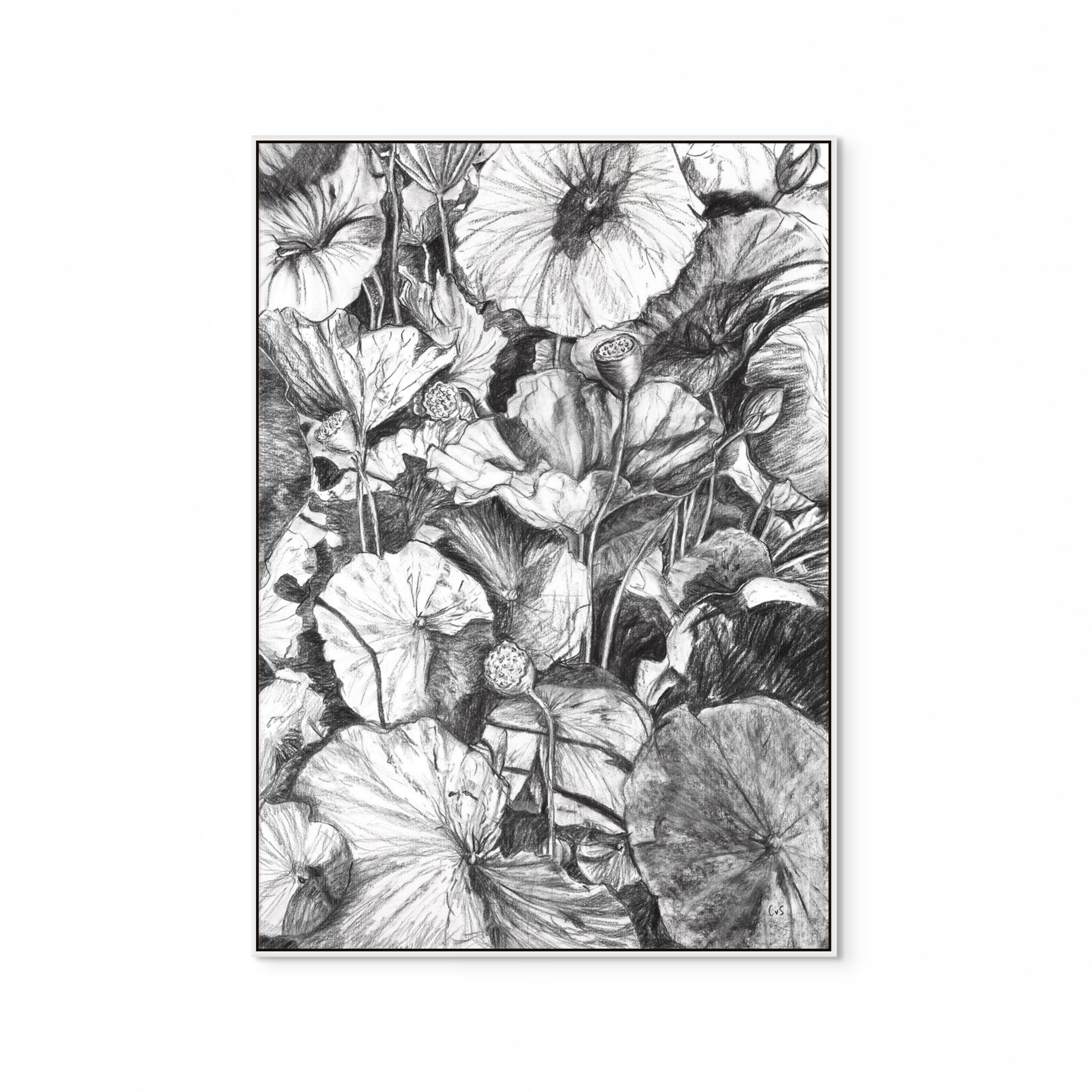 Water Lilies Print