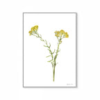 Wild Flower Print