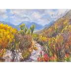 Fynbos Joy, Koegelberg Print