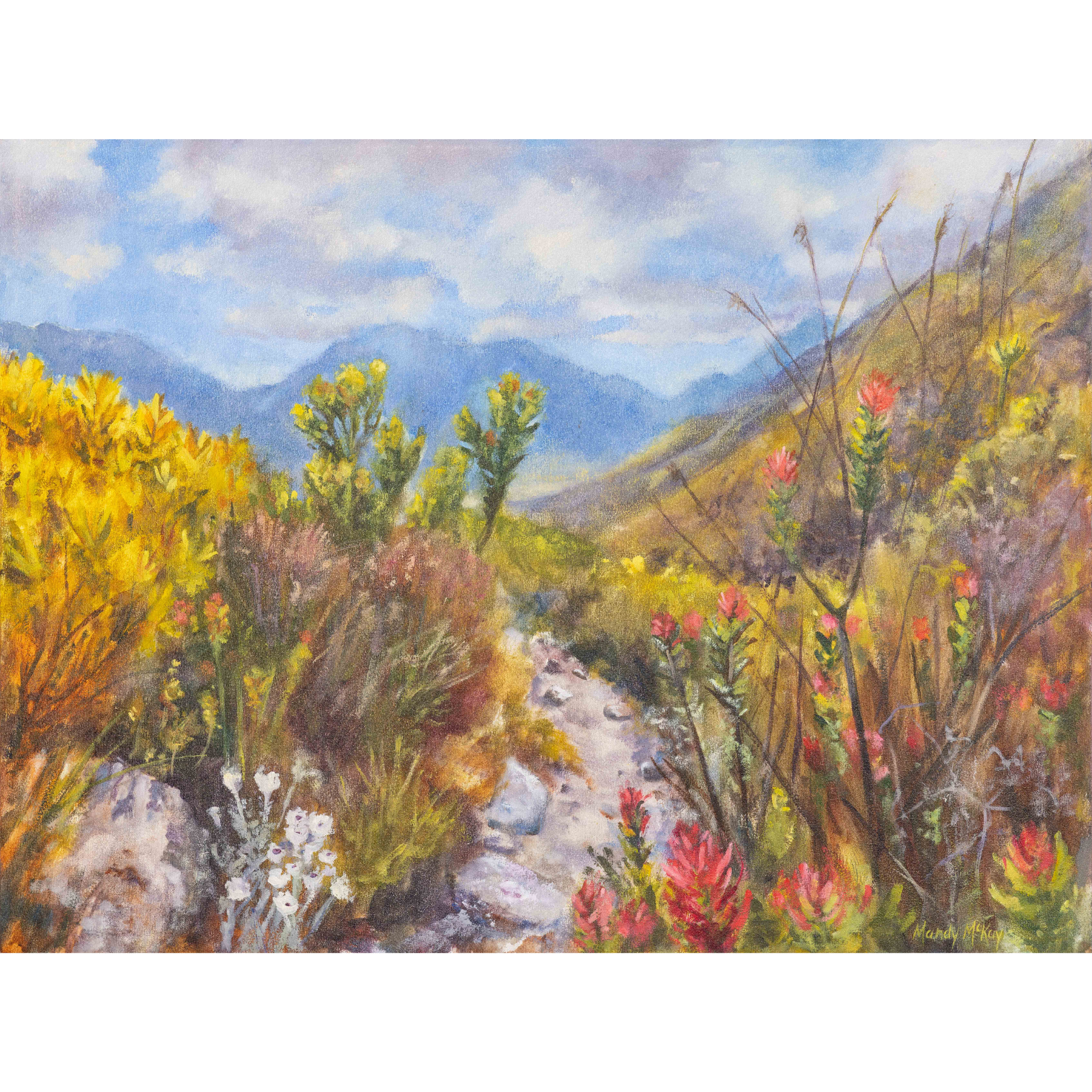 Fynbos Joy, Koegelberg Print