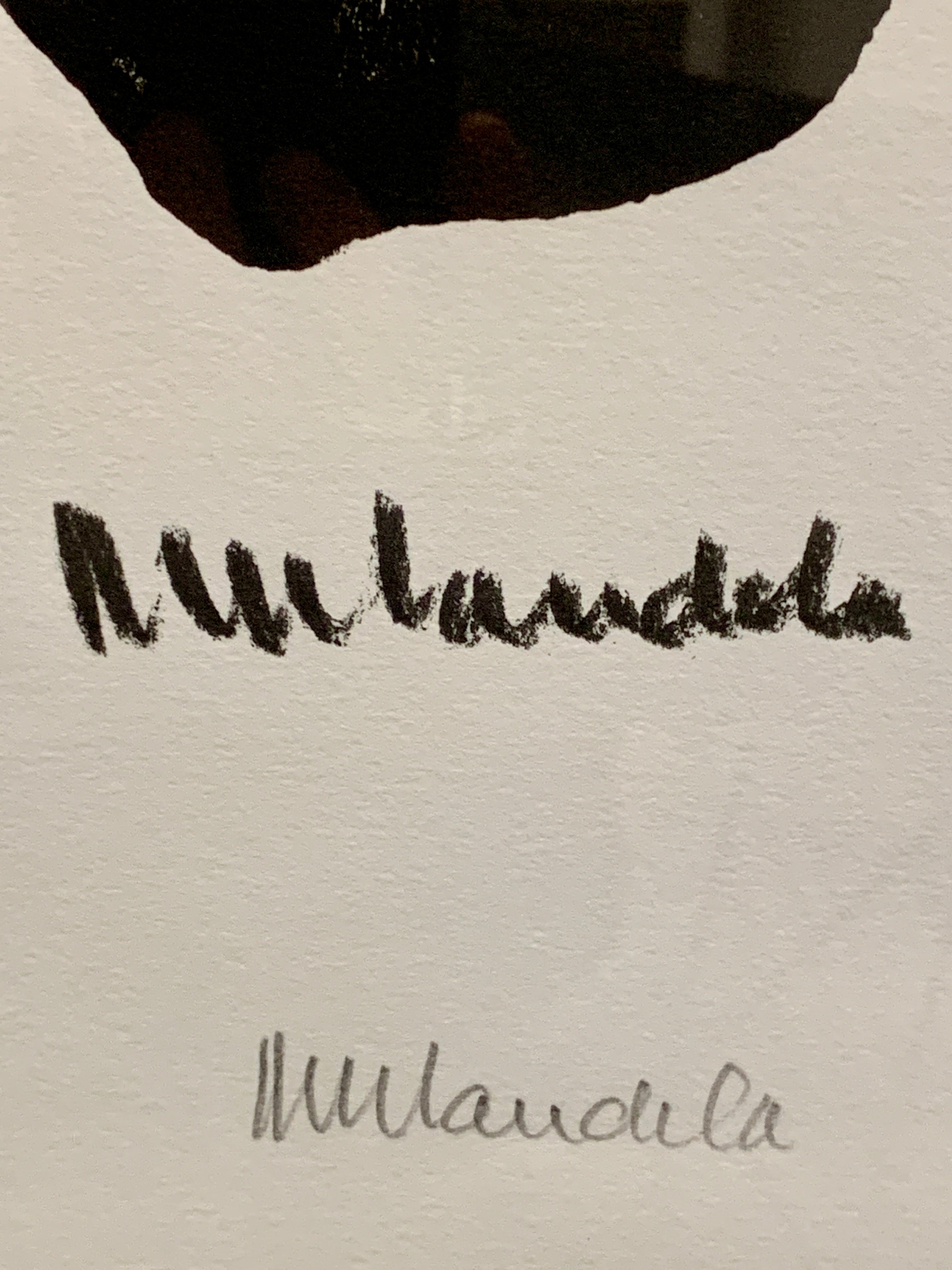 Nelson Mandela's Impressions of Africa - Signed Limited Edition