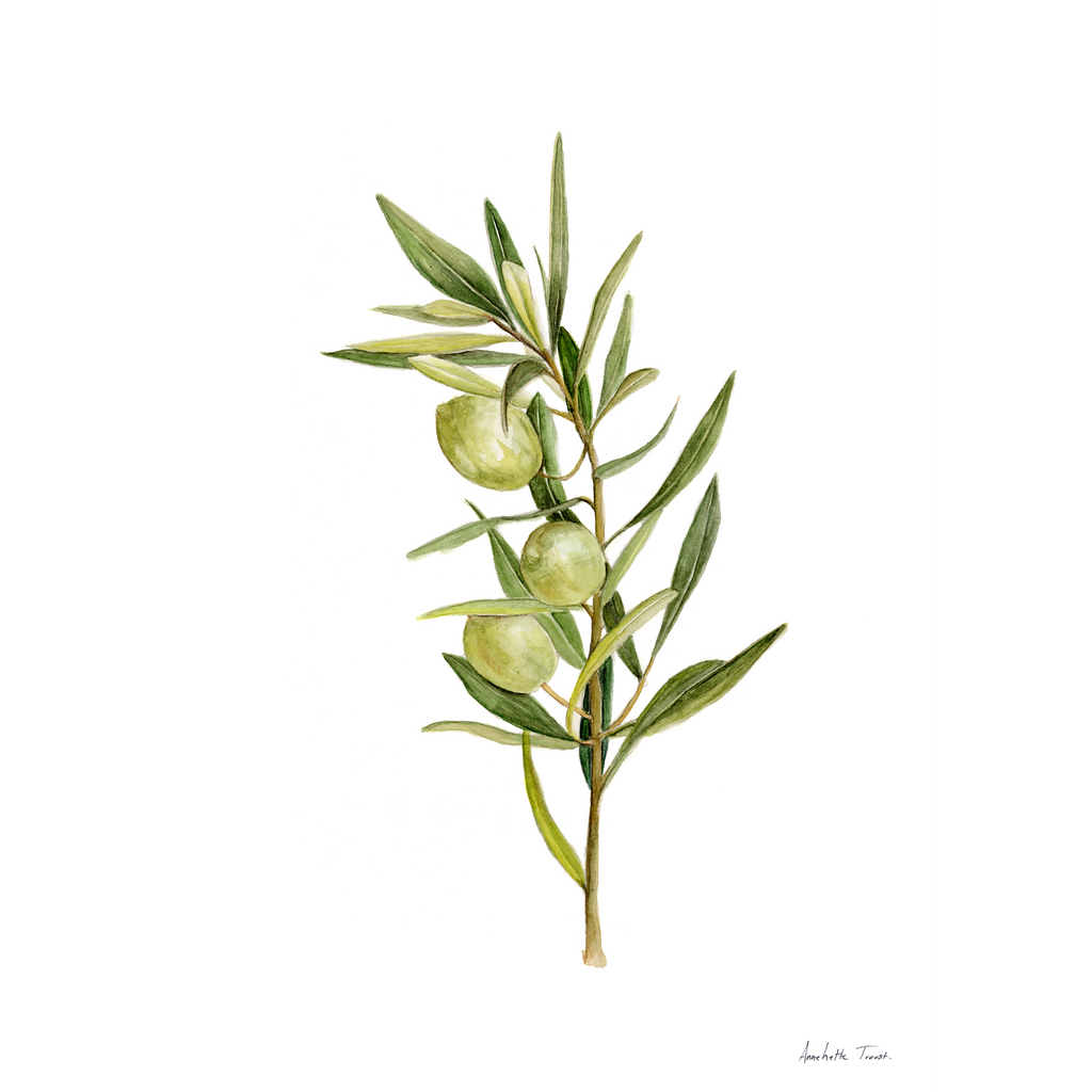 Olive Print