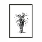 Aloe III Print