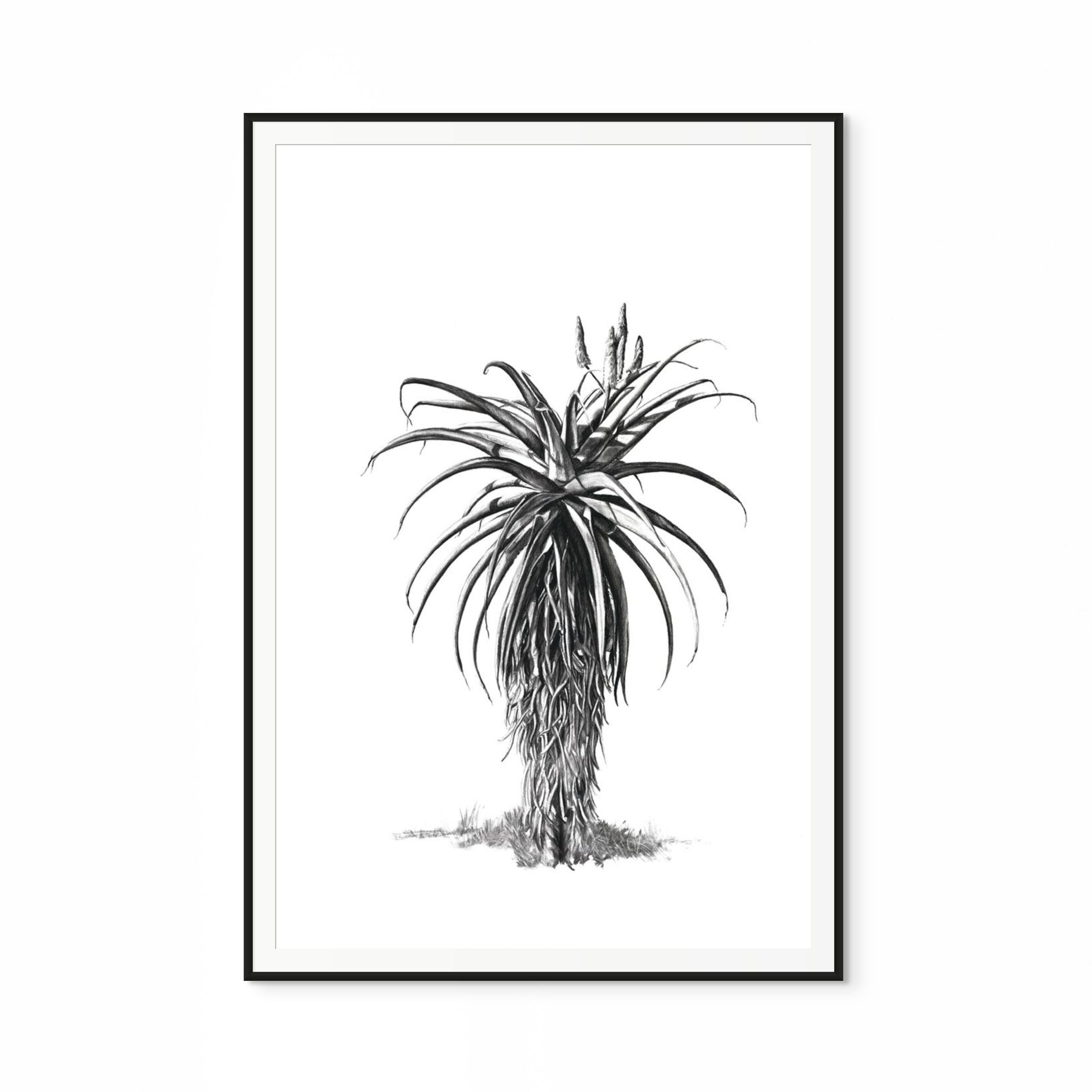 Aloe III Print