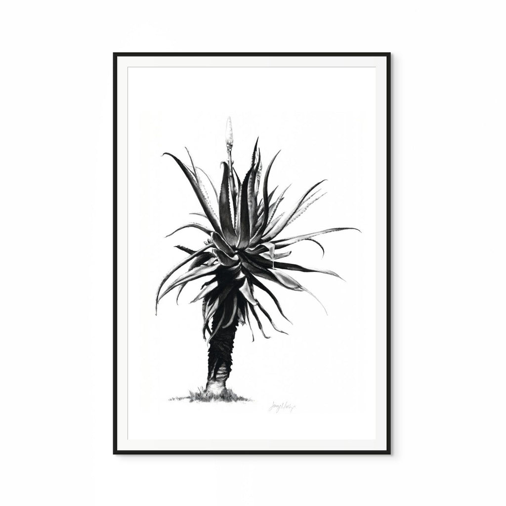 Aloe IV Print