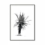 Aloe IV Print