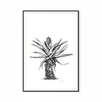 Aloe V Print