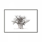 Baobab I Print