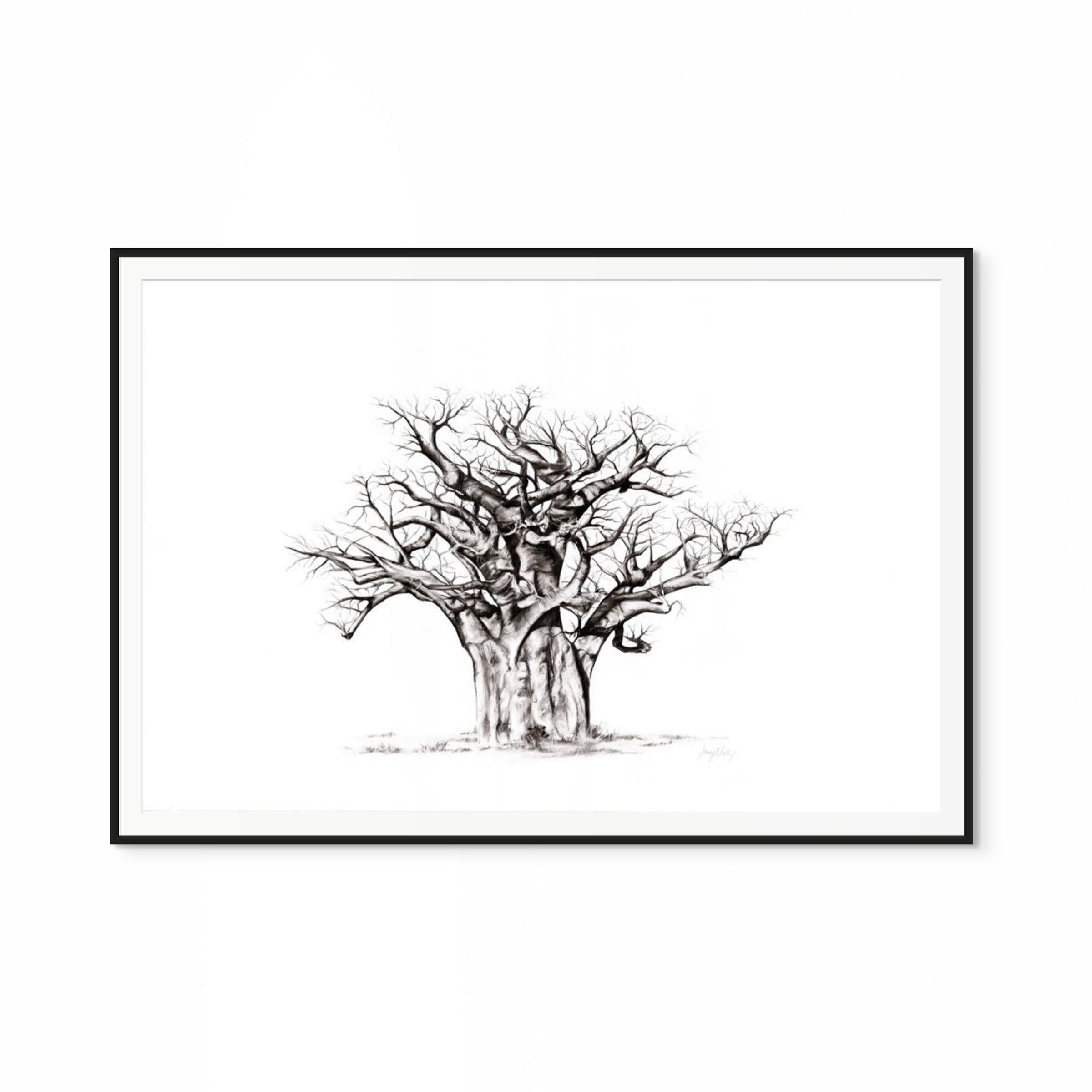Baobab I Print