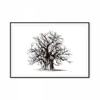 Baobab II Print
