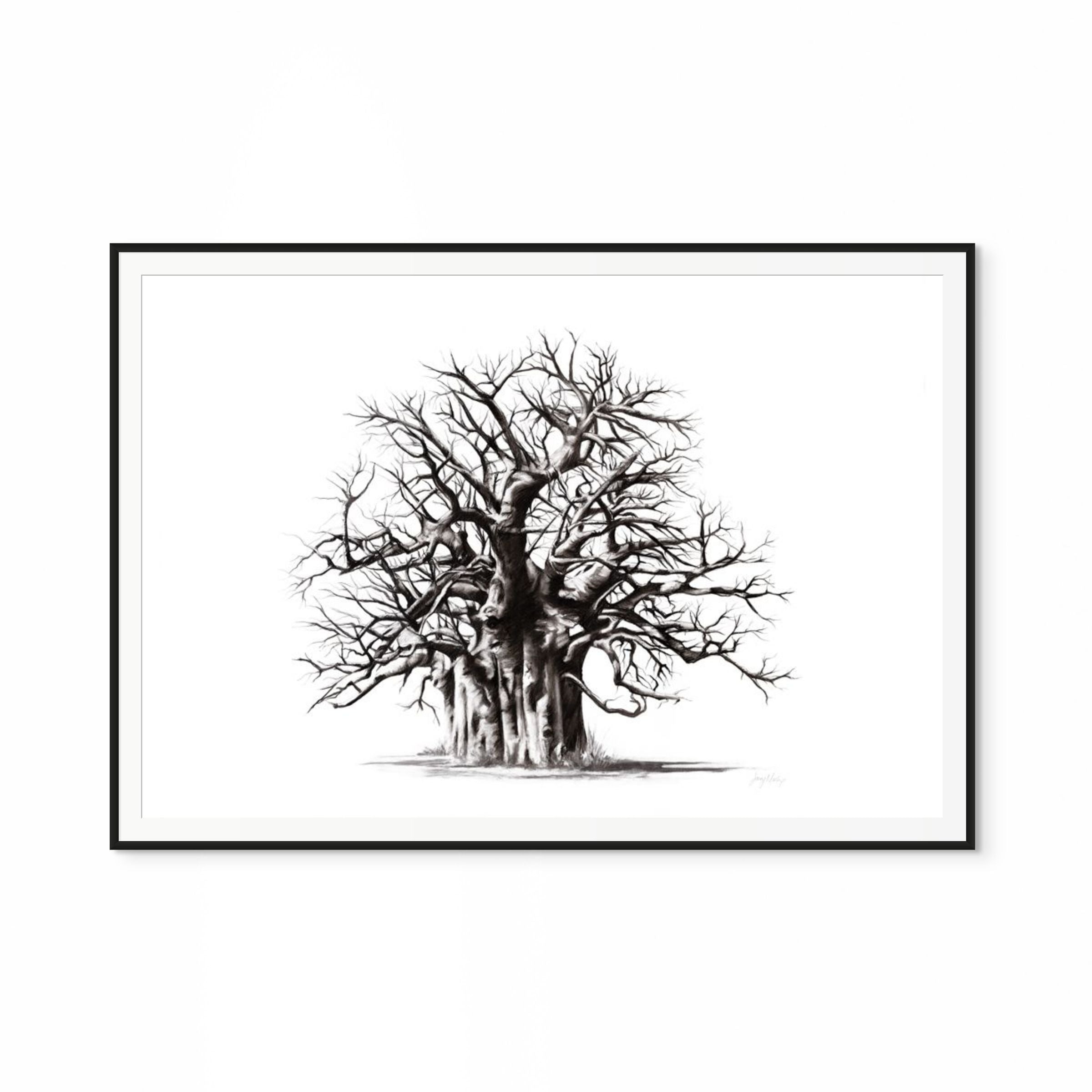 Baobab II Print