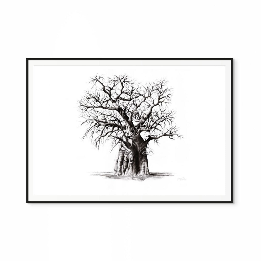 Baobab III Print