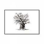 Baobab III Print