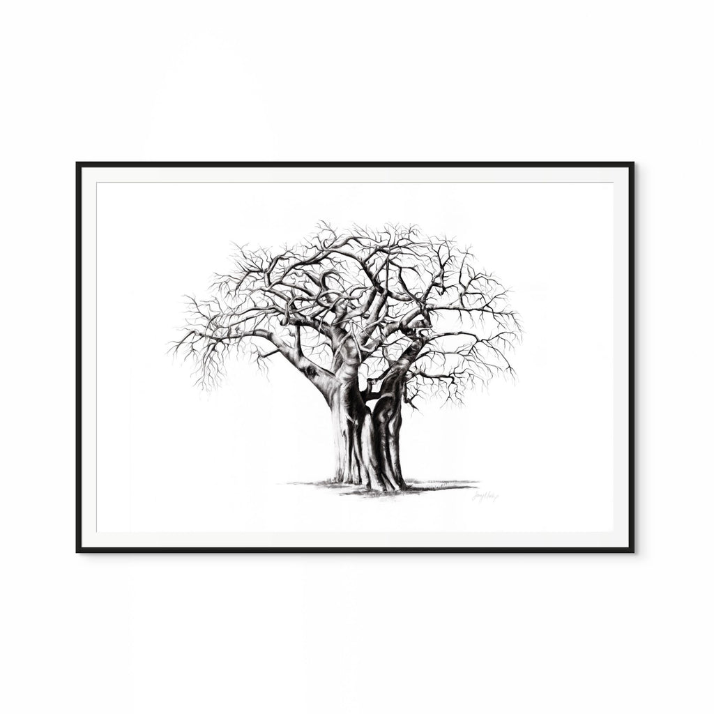 Baobab IV Print