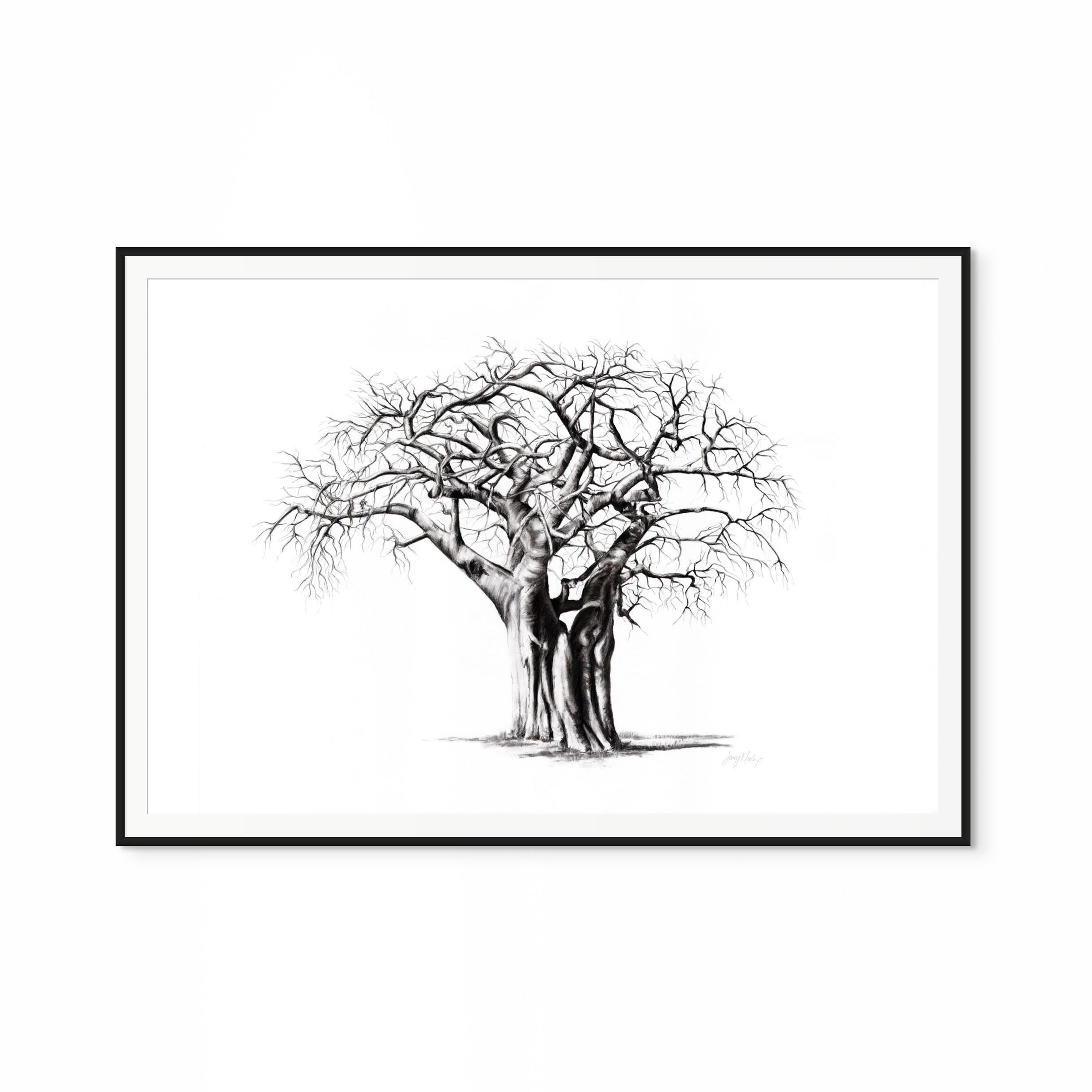 Baobab IV Print
