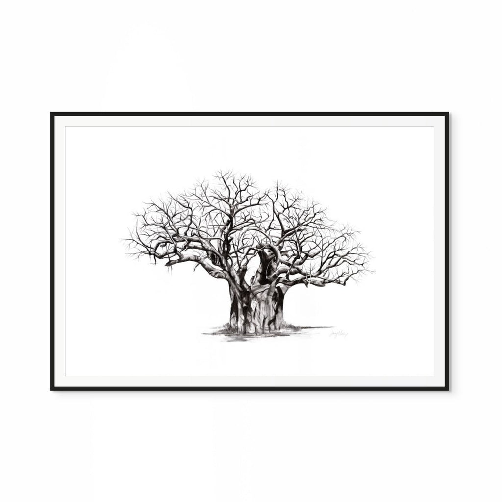Baobab V Print