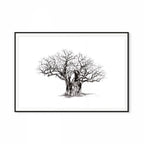 Baobab V Print