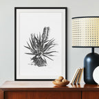 Aloe II Print