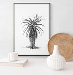 Aloe III Print