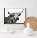 Nguni Bull Head (Landscape) Print