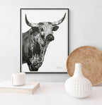 Nguni Bull Head (Portrait) Print