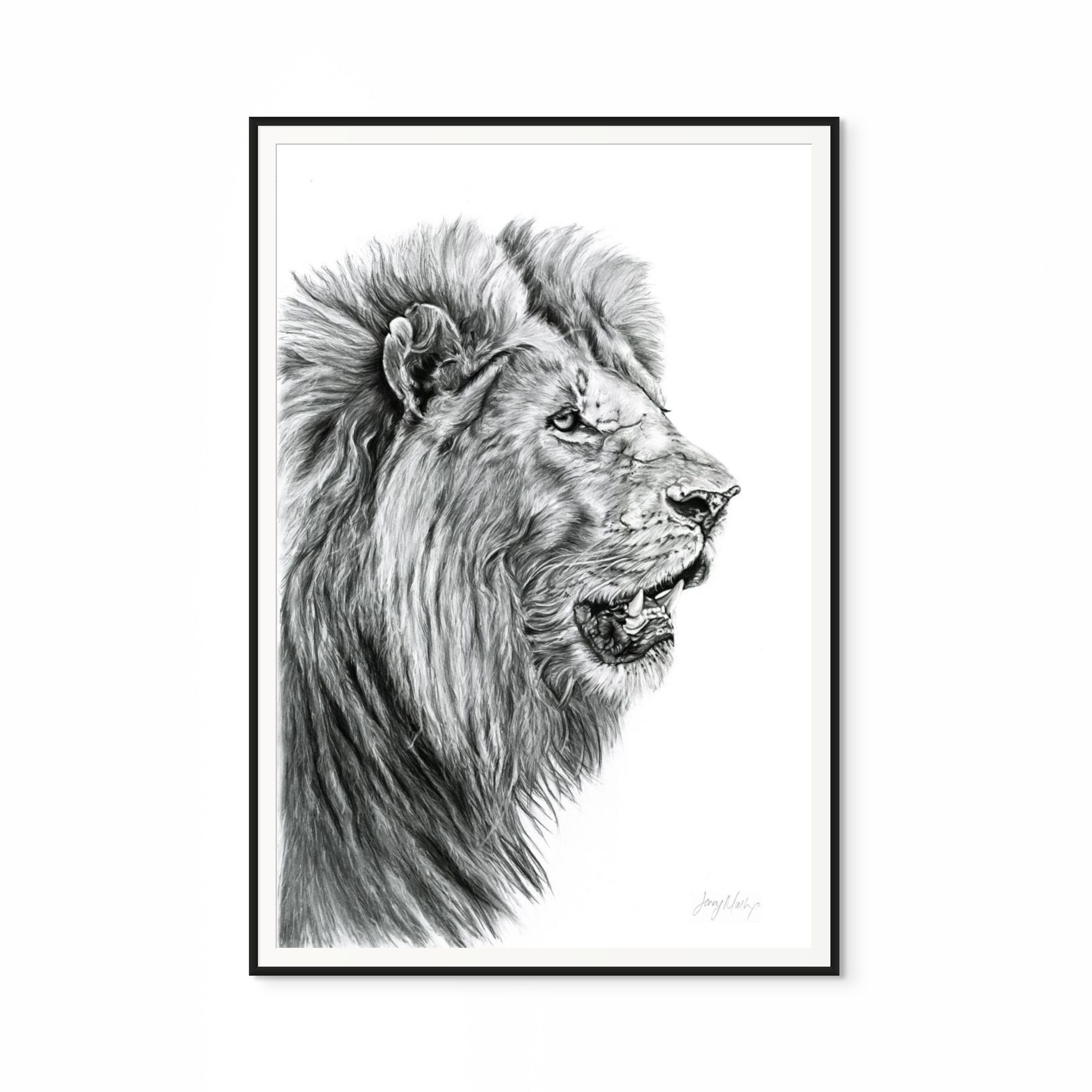 Lion Print
